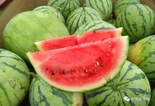 汾阳今日吃瓜事件视频,一场网络热议背后的真相揭秘