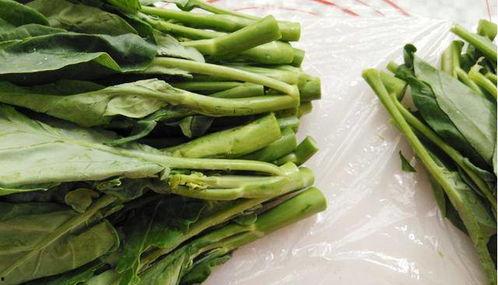 兰瓜未熟可以吃吗视频讲解,视频讲解带你了解食用安全