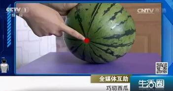 自由吃瓜文明吐籽视频