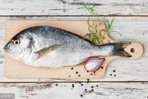 吃大瓜鱼的视频