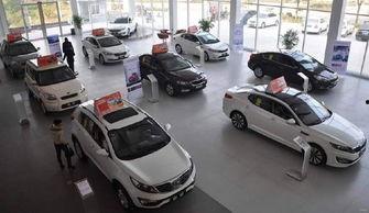 直播买车吃瓜视频,吃瓜群众见证买车盛况